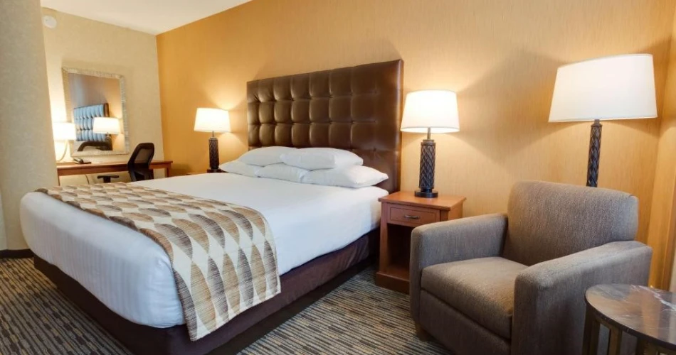 Top Hotels Near Busch Stadium, St. Louis: Where to Stay for a Game Day Experience